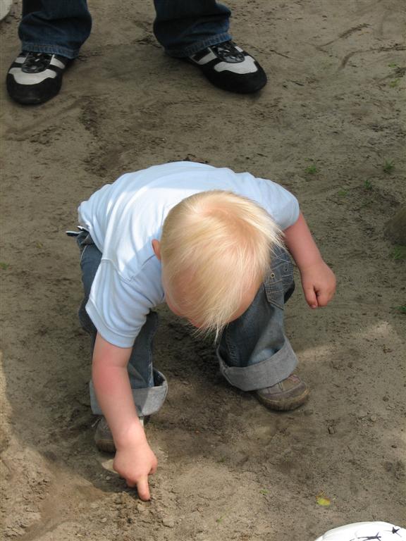 IMG_6075 (Large).jpg